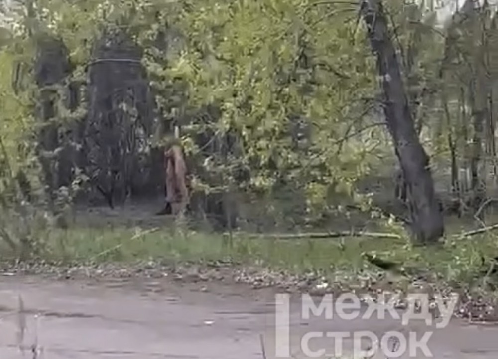 В Нижнем Тагиле распространяются сообщения о сексуальном маньяке