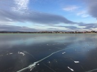 Замерзший Черноисточинской пруд позеленел. Зимой такое явление наблюдается впервые (фото)