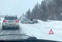 Сбил насмерть женщину на обочине и остался на свободе: тагильский суд вынес приговор пенсионеру-лихачу
