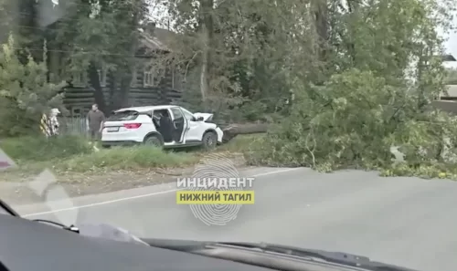 Думаете, китайцы из фольги? Geely срубил дерево в Тагиле