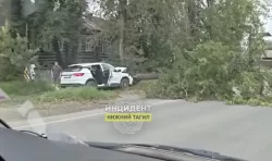 Думаете, китайцы из фольги? Geely срубил дерево в Тагиле