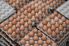 Названа цена куриных яиц из Ирана и Турции