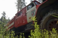 В Свердловской области ликвидировали все лесные пожары, но запреты пока действуют