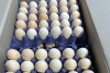 В Минсельхозе раскрыли цены яиц из Азербайджана и Турции