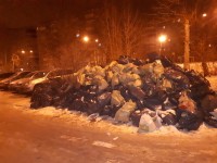 В Нижнем Тагиле коммунальщики почти месяц не вывозят гору мусора возле дома по улице Зари (фото)