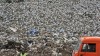 Свердловские власти показали, из каких городов повезут мусор в Нижний Тагил