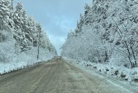 ГИБДД Нижнего Тагила рекомендует водителям поменять резину: возможен снег
