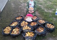 Свердловчанка собрала 200 литров грибов: фото