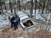 Под Нижним Тагилом «Волга» влетела в дерево. Полиция ищет свидетелей смертельной аварии