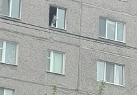В Нижнем Тагиле в открытом окне на шестом этаже играл ребенок (фото)