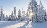 Есть -42: самым холодным местом Свердловской области стал пригород Нижнего Тагила (новые данные с постов)